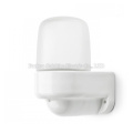 60W Sauna Lamp for Walling Mounting with Ceramic Base with Glass Cover